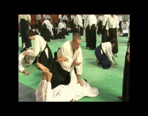 AIKIDO TRADITIONNEL  A  ARNAS (69)  AVEC ALAIN PEYRACHE