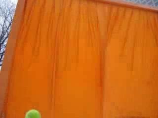 Gates Project in Central Park: Stunning Photos & Video Montage 🎥