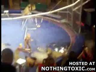 Quand l'homme joue le role d'une Knacki. [liddel]