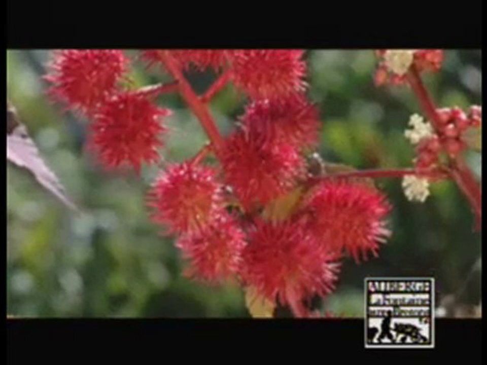 Auberge la Fontaine aux Bretons - Pornic