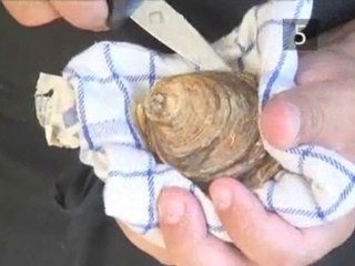 How To Make Baked Oyster Canapés