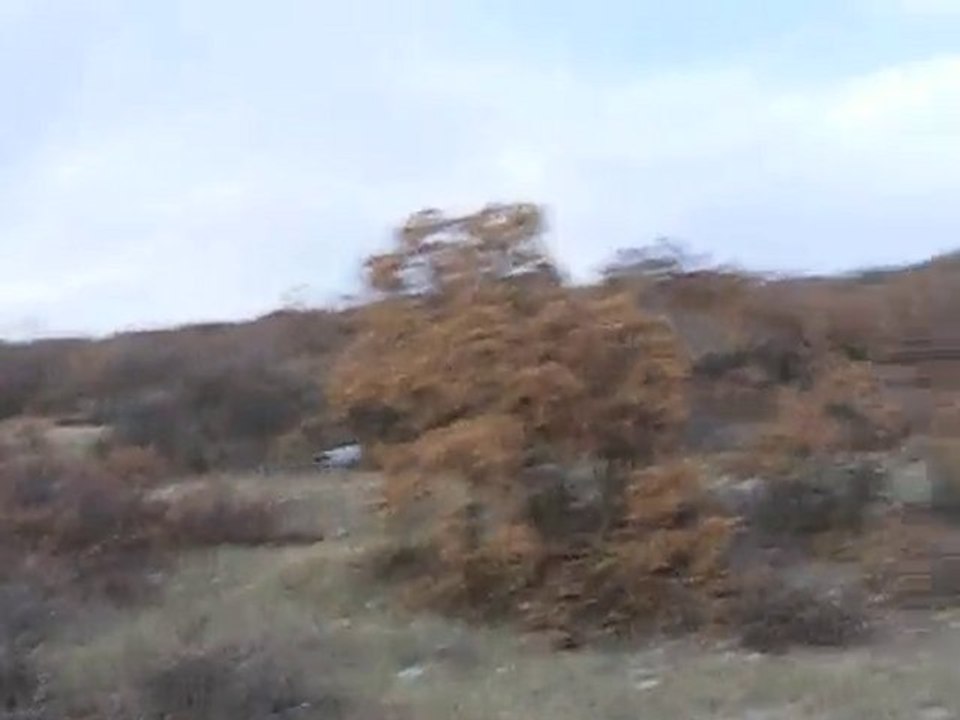 ing.pointer sera keklik ferma