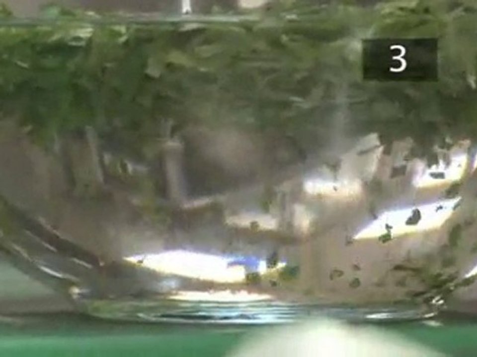 How To Make Egg Bhurjee