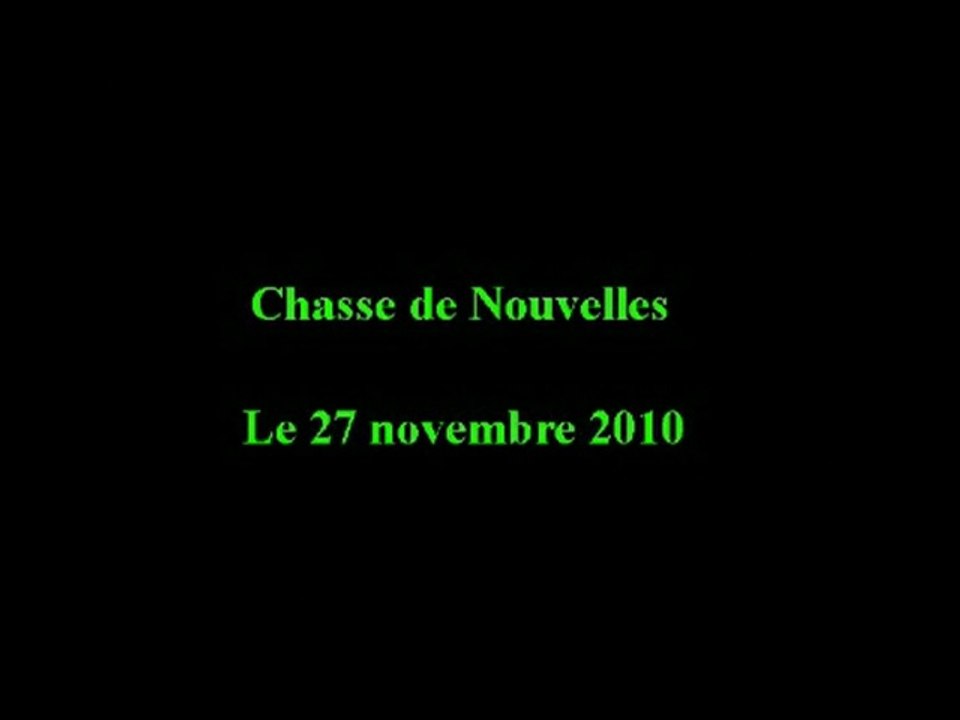 Chasse du 27/11/2010 Région de Mons (BE)