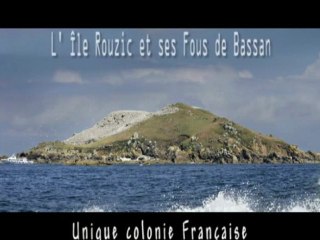 Îles Rouzic (Bretagne)