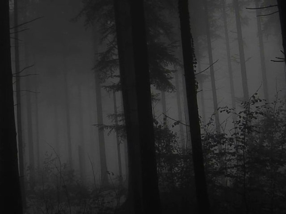 Vinterriket - Waldkult