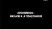 Déforestation : massacre à la tronçonneuse (1)