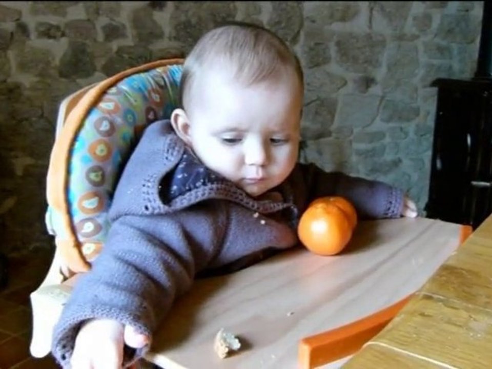 Bonne Année 2011