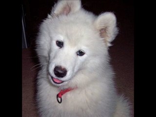 Dj Onur vs.Turkish Slow - NonSto