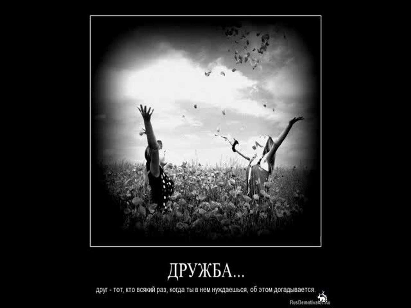 ⁣для друзей...