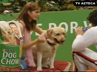 Esme Johnny y Ballo tomandose fotos