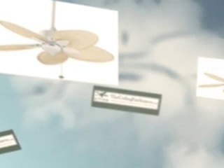 Windpoint – Fanimation Ceiling Fan