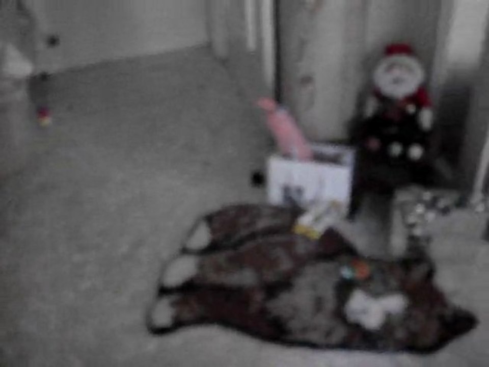 MOV06510 NOEL 2010 POUR YOTA