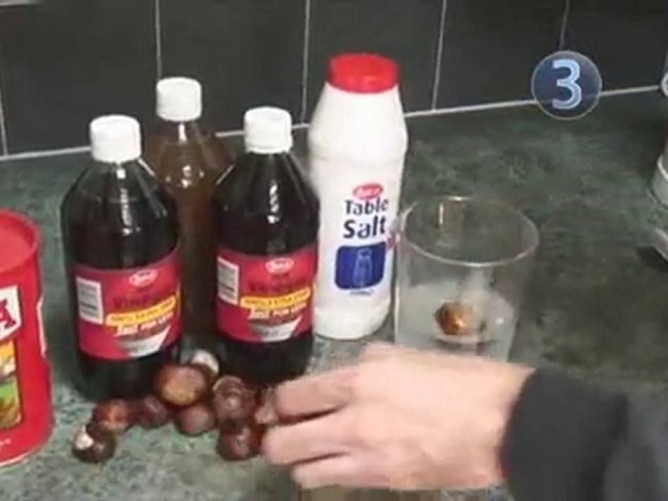 How To Win At Conkers