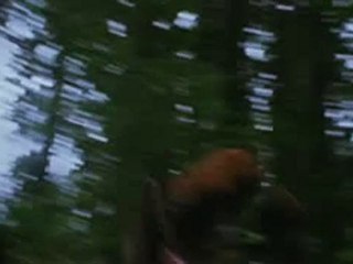 THE TWILIGHT SAGA - ECLIPSE - Trailer