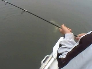 CATFISH CATFISH EATS ANOTHER