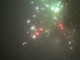 Mon feu d'artifice 2011