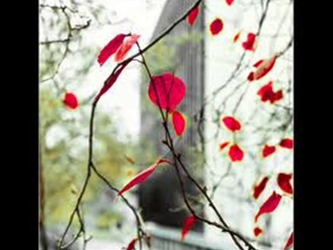 UĞUR IŞILAK -DİLİNİ KANA BULAMA