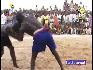 JT FRANCAIS DU 07/01/2011 PART ( II ) ET FIN  TCHADONLINE.TV