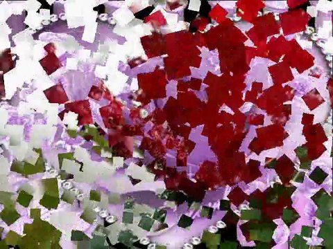 Ahmet Safak-Gülüm(edibe55)