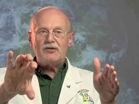 Fun Science: Weather : Why is it warm in the summer and cold in the winter?