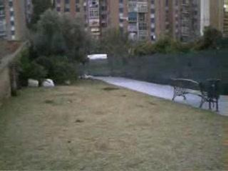 recopilacion 2006