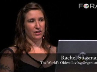 The Oldest Living Organism? 500,000-Year-Old Bacteria