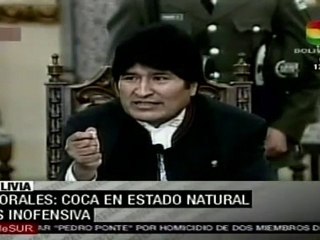 Evo Morales: la coca en su estado natural es inofensiva