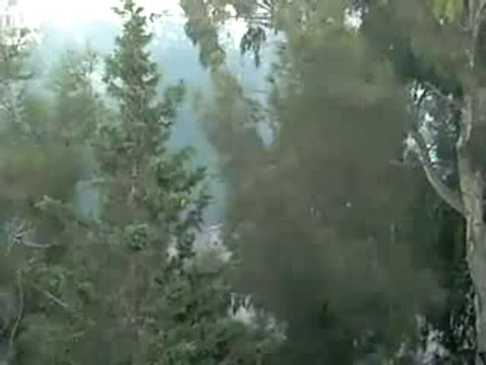 أعمال شغب في حي العناصر_ ديارالعافية _ الجزائر 2011.01.06