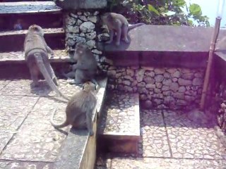 Bali Uluwatu temple  le 06-01-2011