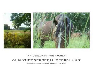 Vakantiehuis in de bosrijke Achterhoek, Gelderland