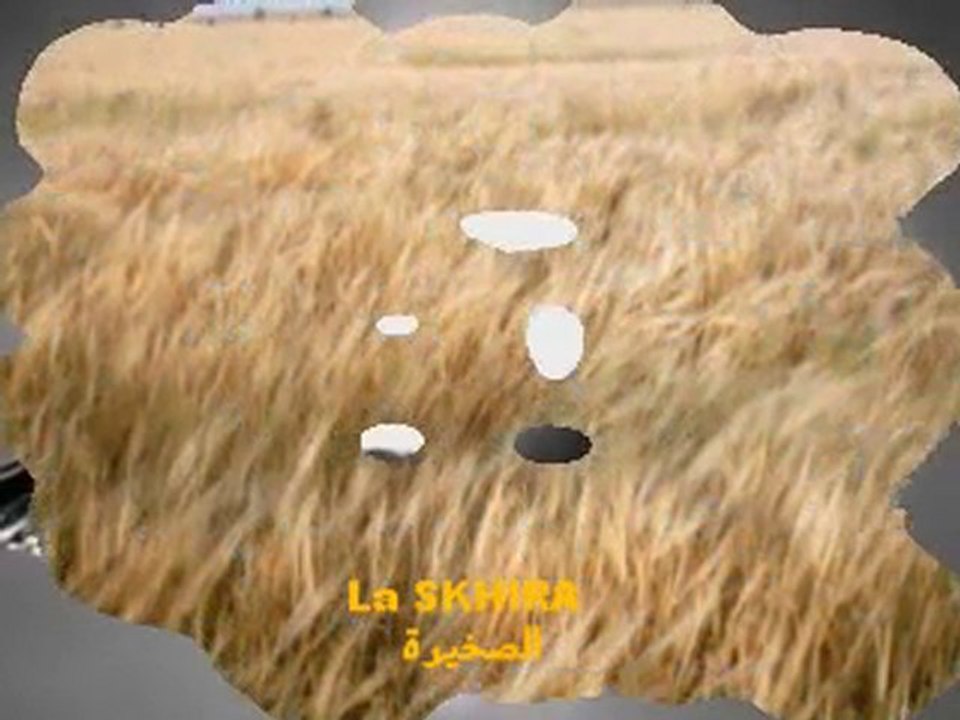 يا عين كوني صبًارَة_sabbra ye3in