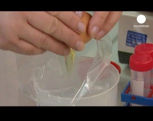 Dioksinli yemin sorumlusu olan şirkete dava açılıyor