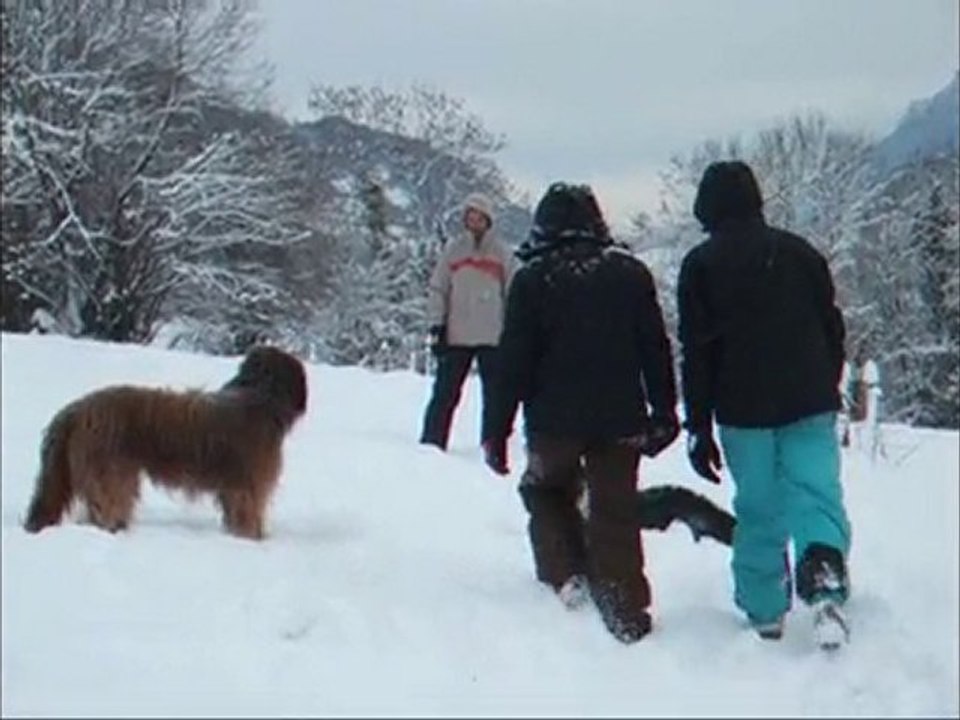 Csali et ses copains dans la neige