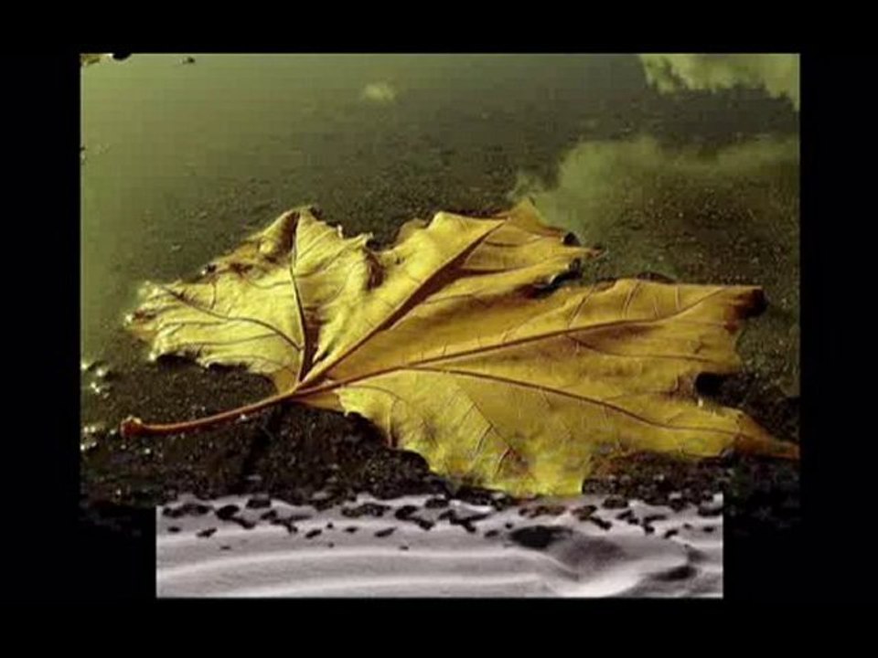 Gökhan Güney - Bir Seni Düşündüm [ Norm ]