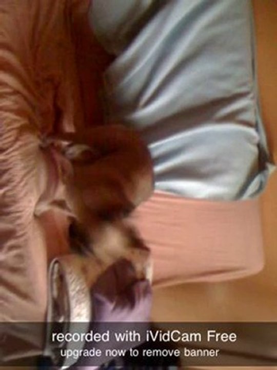 partie jeux Diégo et Marley