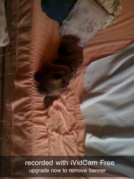 La pose apres le jeu