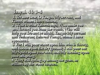 House of Yahweh -Scriptural Interludes 02