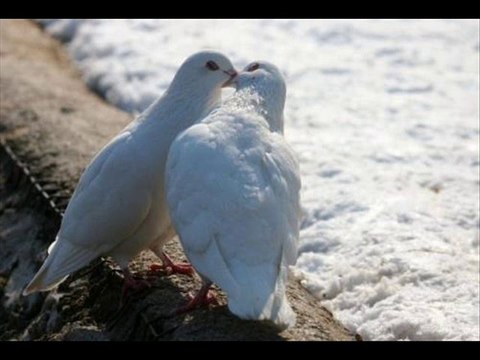 06.Elvan - Ben ben oldum sen kayan bir yildiz