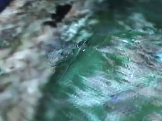 GOOGLE EARTH, Visite Guidée Des Endroits Les Plus Mystérieux (pt1)