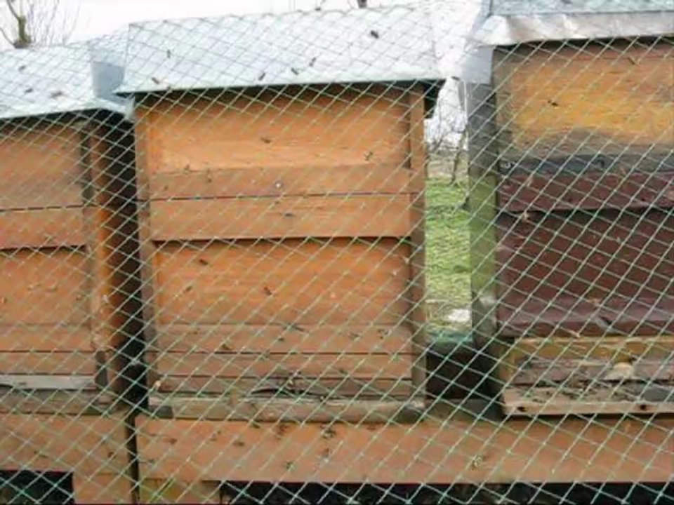 Arıcılık Mehmet Yüksel 2011