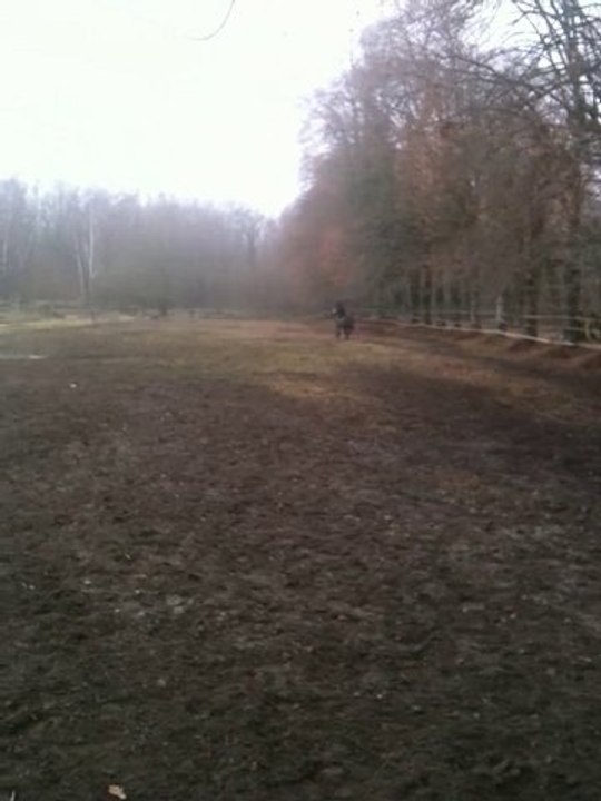 Rap_paddock_Janvier_2011_2