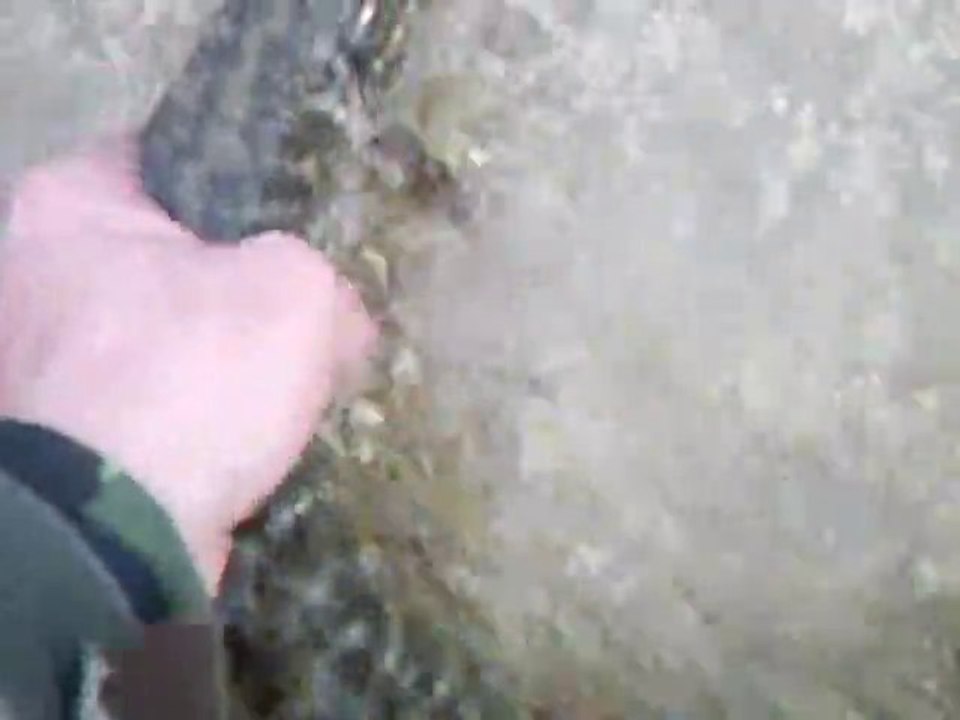 BROCHET DE 62cm