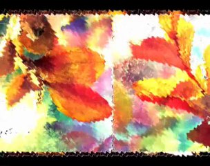 Осенний листопад