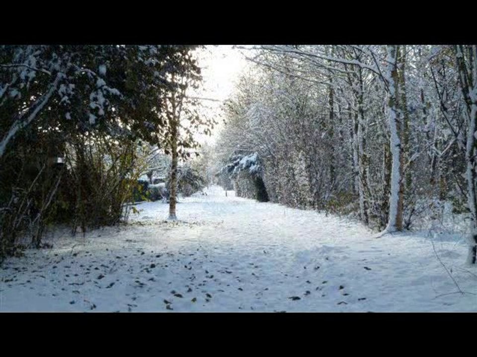 Ifs en Hiver