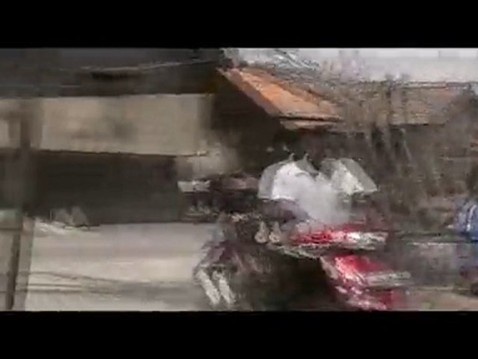 In many trees Balerante tumbles