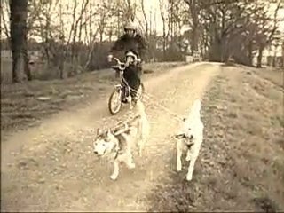 entrainement avec mon fiston près de La Vilaine REDON