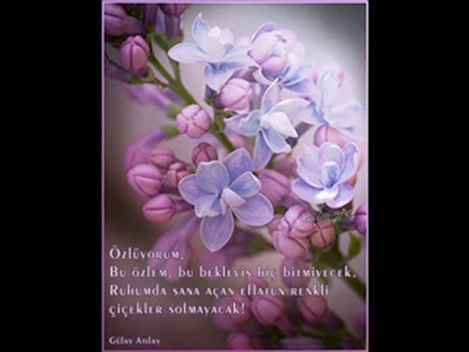 aşk şiirleri - Komedi Kanalı