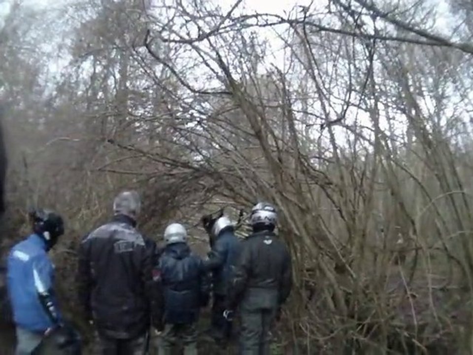 Reco de Rando 08.01.11