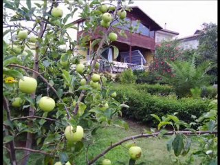 Ferhat Akın- Yosma Yavrum
